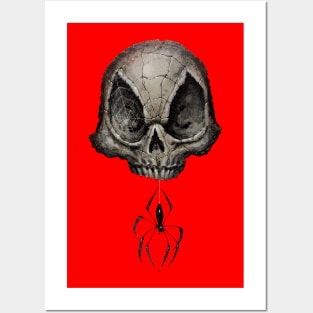 Spider on a Skull Hanging Out Posters and Art